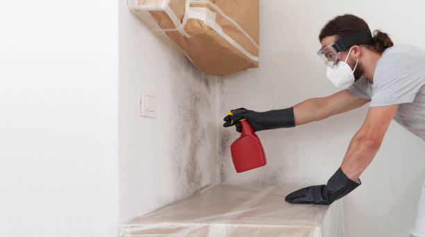 Professional Crawl Space Mold Remediation technician working in Naperville, IL