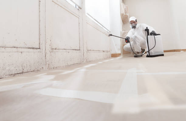 24/7 Emergency Crawl Space Mold Remediation experts in Naperville, IL