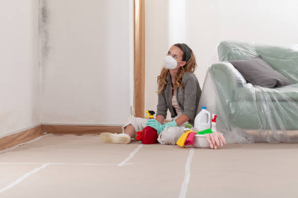 Reliable Crawl Space Mold Remediation contractor in Naperville, IL by Mold Remediation HQ